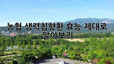 농협 생력침향환 효능 제대로 알아보기
